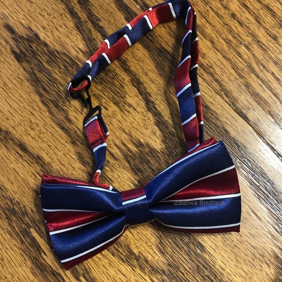 Navy & Burgundy Satin Stripe Bow Tie - Picture 1 of 1